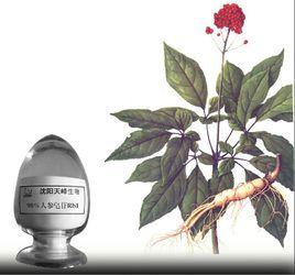 人參皂苷Rb1 人參皂苷Rb1