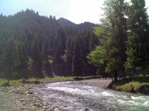 （圖）白楊河鄉