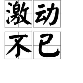 激動不已 激動不已