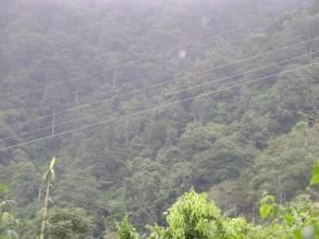 坡石賴村 坡石賴村