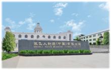 雙飛人製藥（中國）有限公司