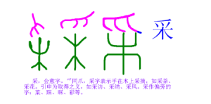 會意字“彩”