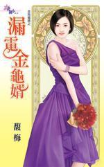 金烏藏嬌之漏電金龜婿 金烏藏嬌之漏電金龜婿