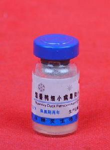 小鵝瘟活疫苗 小鵝瘟活疫苗