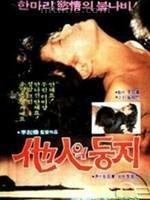 他人之巢 他人之巢