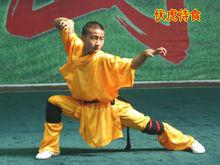 虎拳[中國傳統武術流派之一]