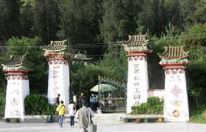 西藏林芝巨柏公園