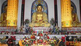 石家莊晉州市普光寺 石家莊晉州市普光寺