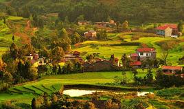 鳳堰古梯田 鳳堰古梯田