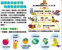 營養金字塔