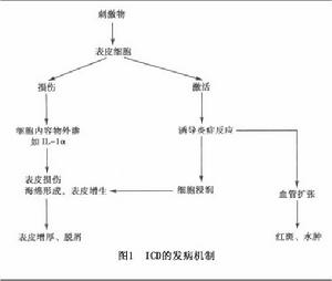 外陰接觸性皮炎