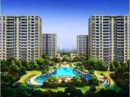 濱江紫金府 濱江紫金府