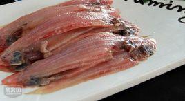 牛舌頭魚 牛舌頭魚