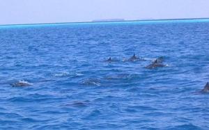 （圖）地球表層大部分被海洋覆蓋