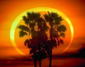 天文攝影家1994年拍攝的《棕櫚樹背後的日環食》作品