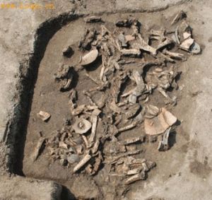 廣富林遺址的發掘