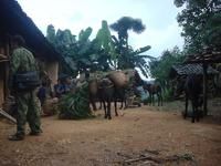 壩恩自然村馬幫