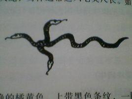 如尼紋蛇 如尼紋蛇