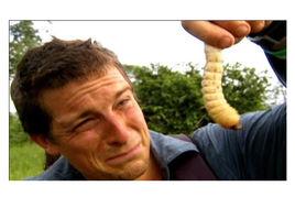 嘎嘣脆雞肉味 嘎嘣脆雞肉味