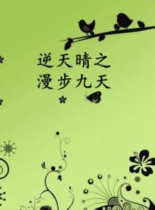 逆天晴之漫步九天 逆天晴之漫步九天