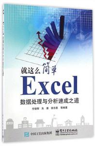 Excel數據處理與分析速成之道 Excel數據處理與分析速成之道