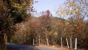 魯谼山風景區 魯谼山風景區