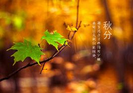 秋分[麥浚龍演唱歌曲]