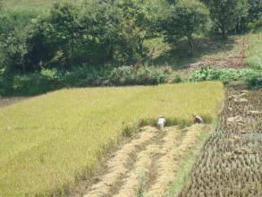 高末小寨自然村 高末小寨自然村