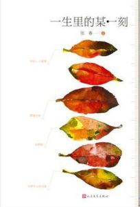 一生里的某一刻 一生里的某一刻