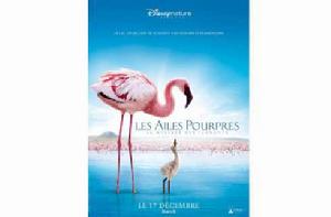 紅色翅膀:火烈鳥故事 紅色翅膀:火烈鳥故事