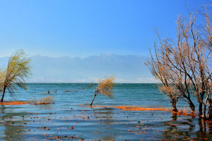 因源而聚 因源而聚