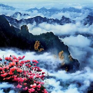 神農架自然保護區