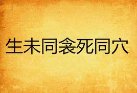 生未同衾死同穴 生未同衾死同穴