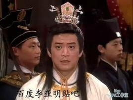 柴文意[電視劇93版包青天裡的人物]