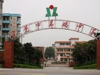 東莞市石碣中學 東莞市石碣中學