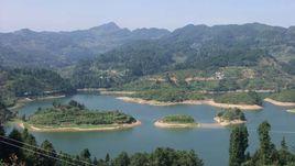 復興鎮[貴州湄潭縣復興鎮]