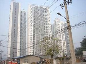 梨樹新居 梨樹新居