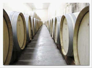 拉菲帝國葡萄酒 拉菲帝國葡萄酒