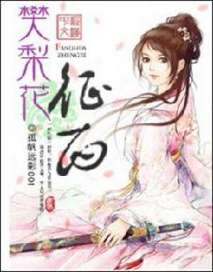 樊梨花征西 樊梨花征西