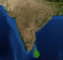 滴液豬籠草的分布地