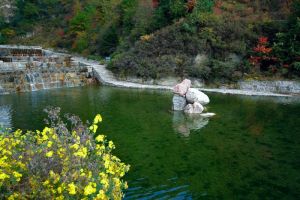 五嶽寨國家森林公園 五嶽寨國家森林公園