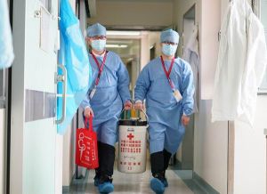 臍帶血幹細胞移植 臍帶血幹細胞移植