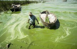 微量有機污染物 微量有機污染物