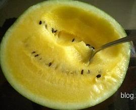 （圖）雪峰小玉8號選育