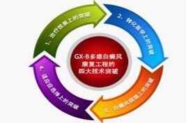 GX-B多維白癜風康復工程 GX-B多維白癜風康復工程