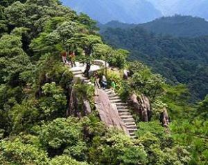 安山森林公園 安山森林公園