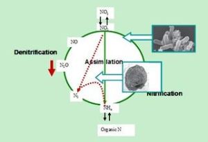 厭氧生物降解作用 厭氧生物降解作用