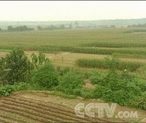 河南禹州瓦店遺址 河南禹州瓦店遺址