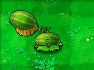 《植物大戰殭屍》[PopCap Games開發的遊戲]