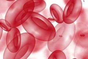 陣發性夜間血紅蛋白尿 陣發性夜間血紅蛋白尿